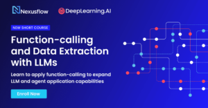 Function-Calling and Data Extraction with LLMs by deeplearning.ai